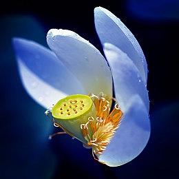 重建文明！《瘟疫公司》续作《劫后公司》现已上线Steam！